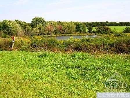 13.2 Acres of Land for Sale in Livingston, New York