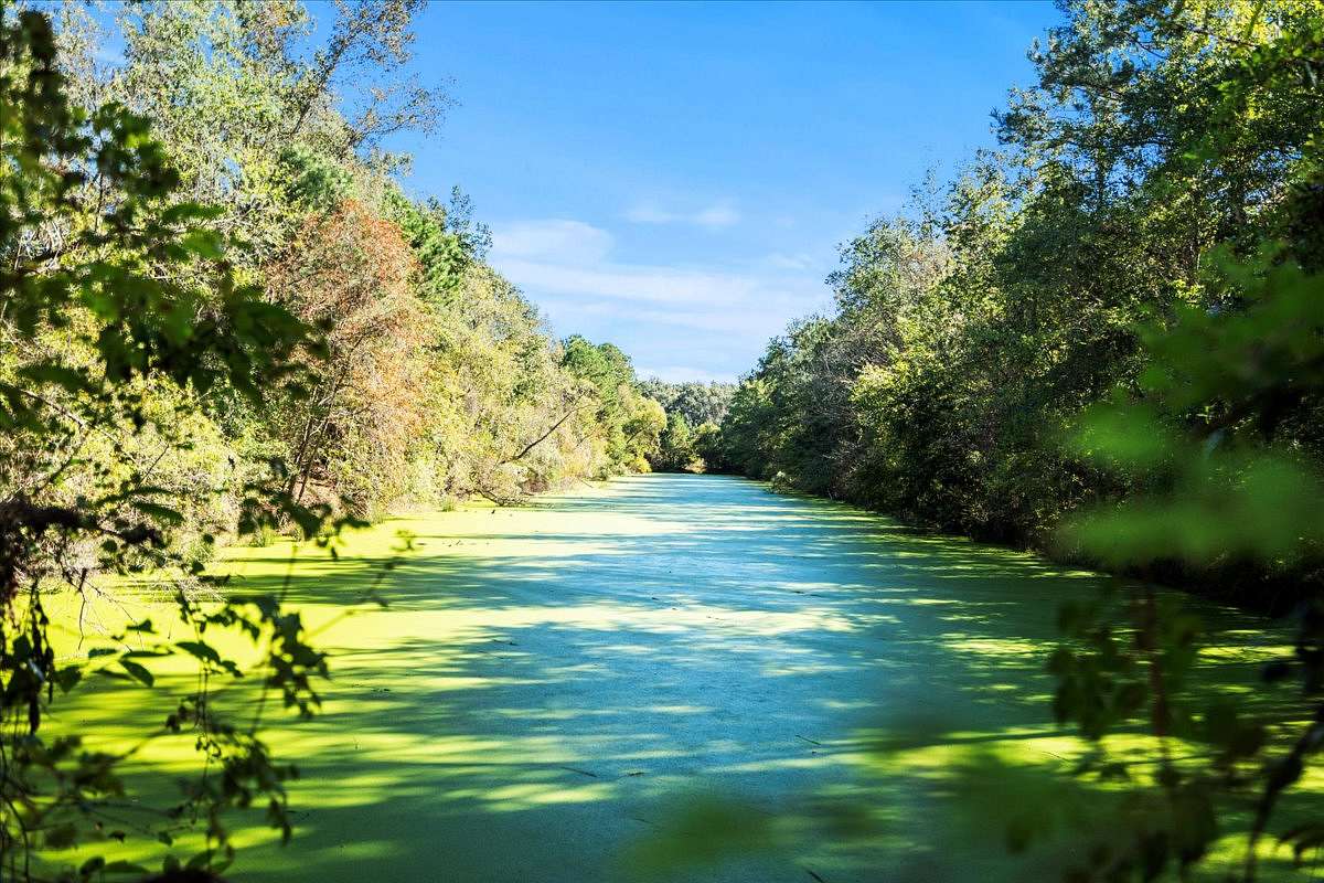 69 Acres of Recreational Land & Farm for Sale in Coward, South Carolina