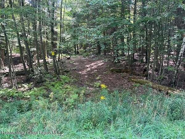 11.5 Acres of Land for Sale in Lexington, New York