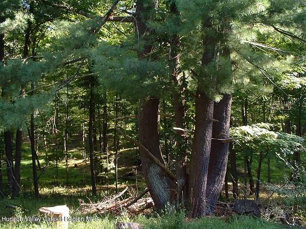 29 Acres of Land for Sale in Hudson, New York