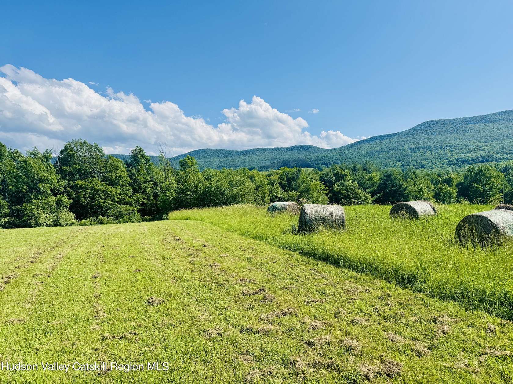 81 Acres of Land for Sale in Cornwallville, New York