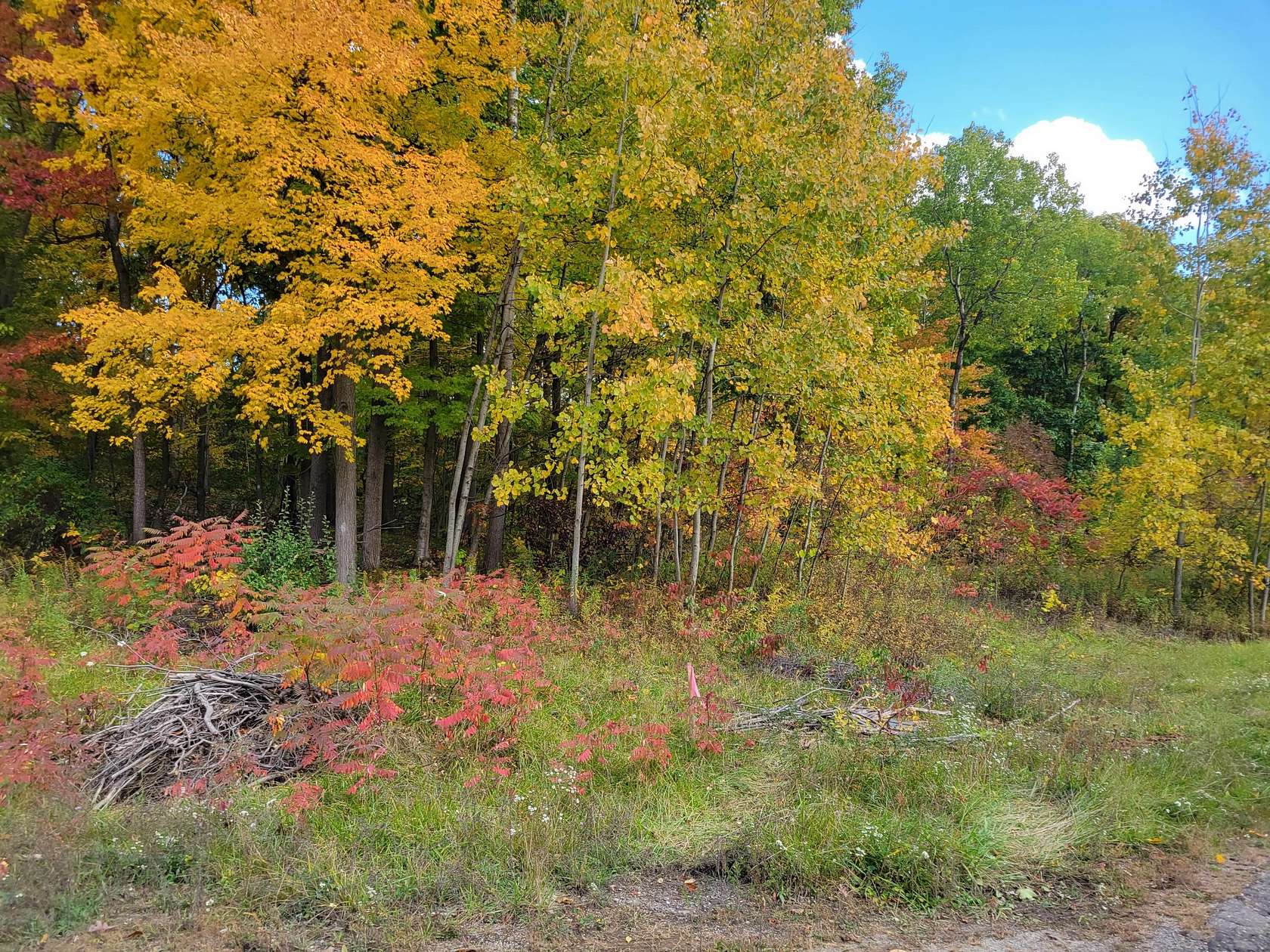 0.6 Acres of Residential Land for Sale in Lawton, Michigan