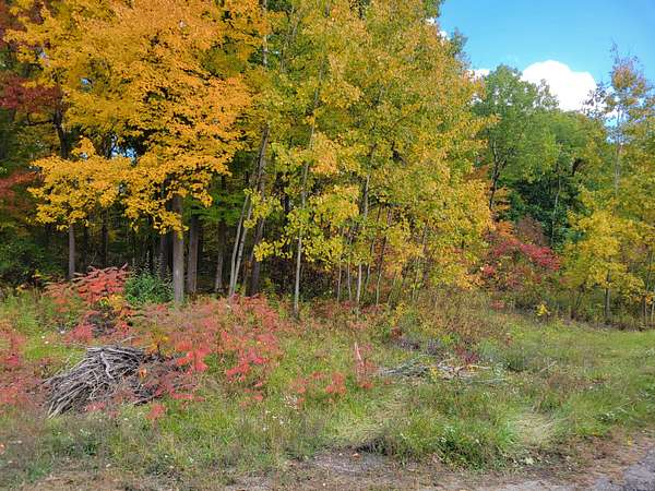 0.6 Acres of Residential Land for Sale in Lawton, Michigan