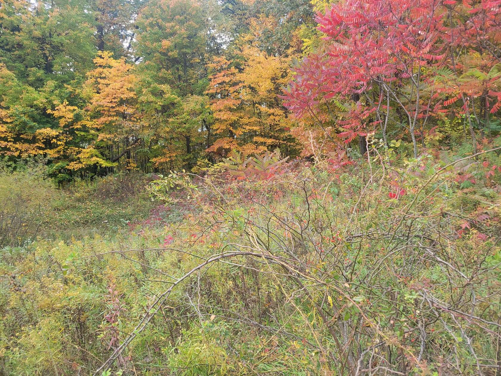 0.73 Acres of Residential Land for Sale in Lawton, Michigan