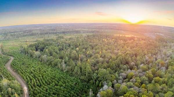 6 Acres of Residential Land for Sale in Burkeville, Texas