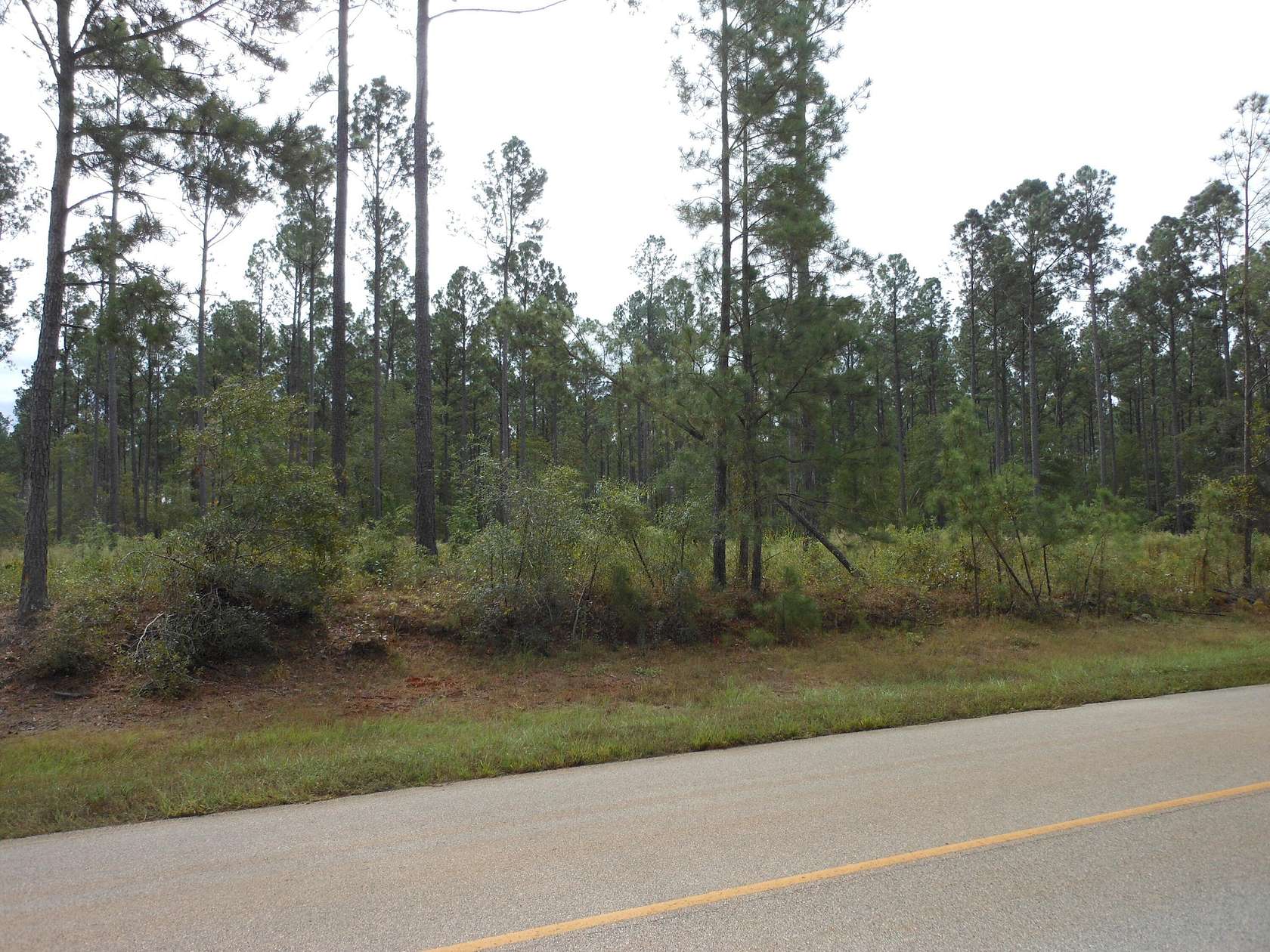 Land for Sale in Keysville, Georgia