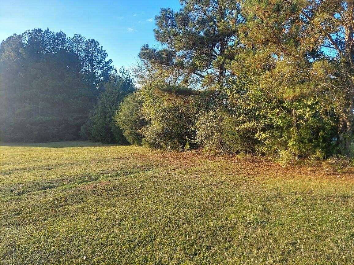 17.7 Acres of Land for Sale in Appling, Georgia
