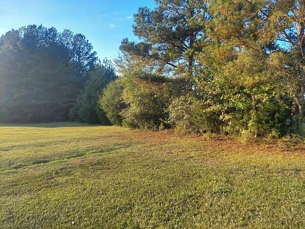 17.7 Acres of Land for Sale in Appling, Georgia