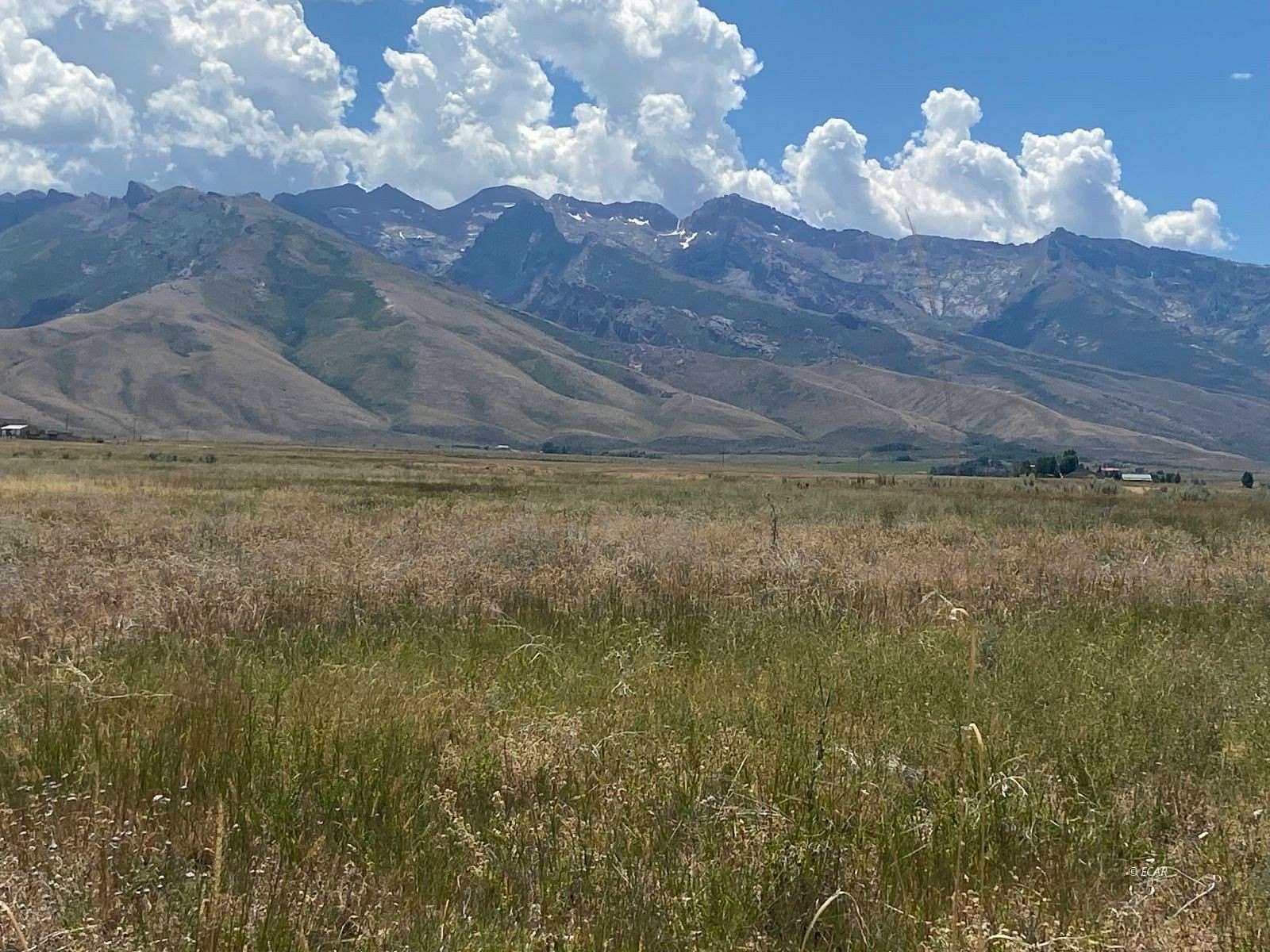 80.2 Acres of Land for Sale in Lamoille, Nevada