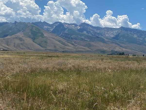 80.2 Acres of Recreational & Residential Land for Sale in Lamoille, Nevada