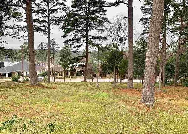 0.43 Acres of Residential Land for Sale in Hideaway, Texas