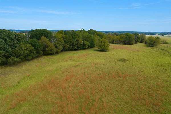 20.8 Acres of Land for Sale in Grand Saline, Texas