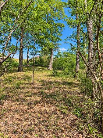 20.8 Acres of Recreational & Residential Land for Sale in Grand Saline, Texas