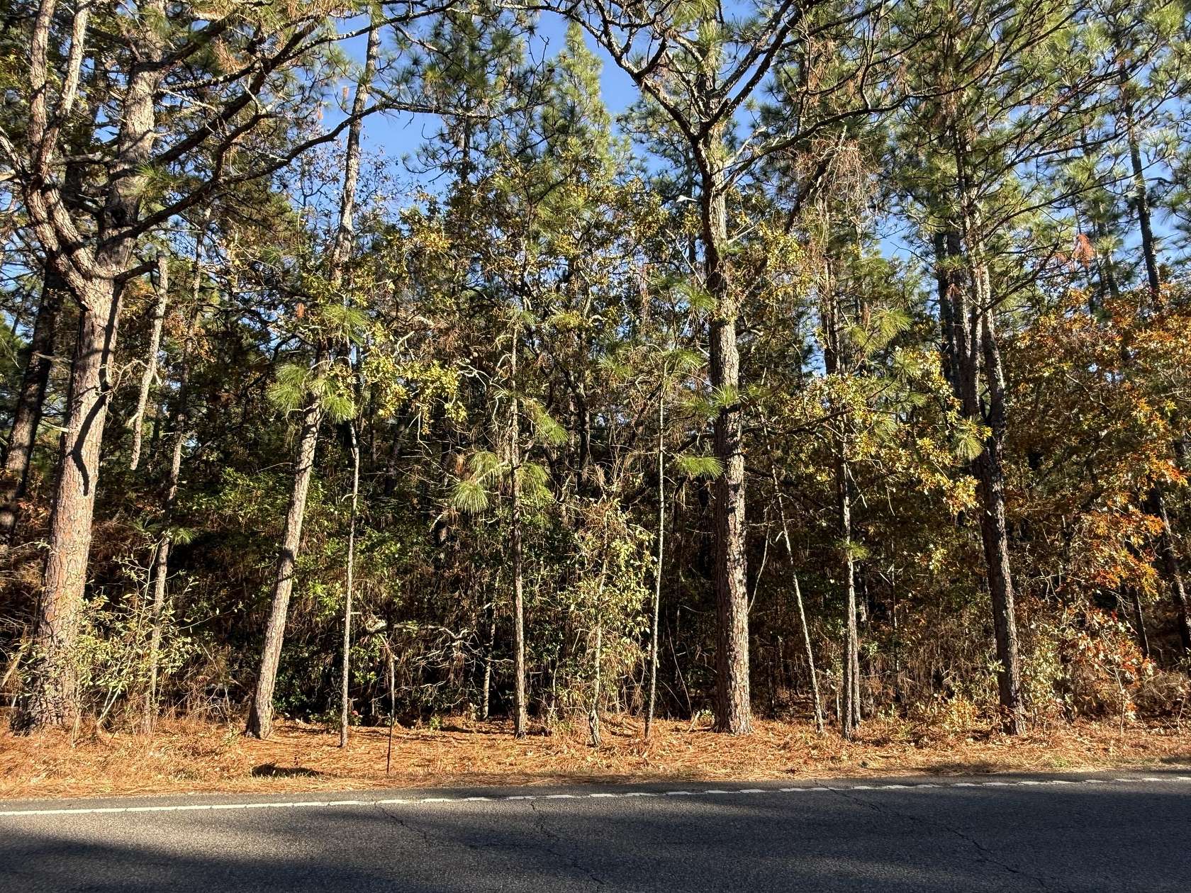 11 Acres of Land for Sale in Windsor, South Carolina