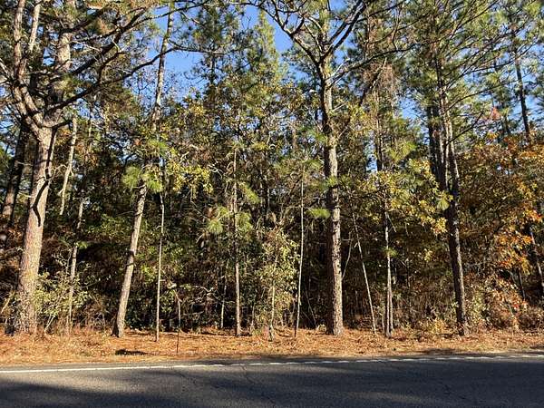 11 Acres of Land for Sale in Windsor, South Carolina