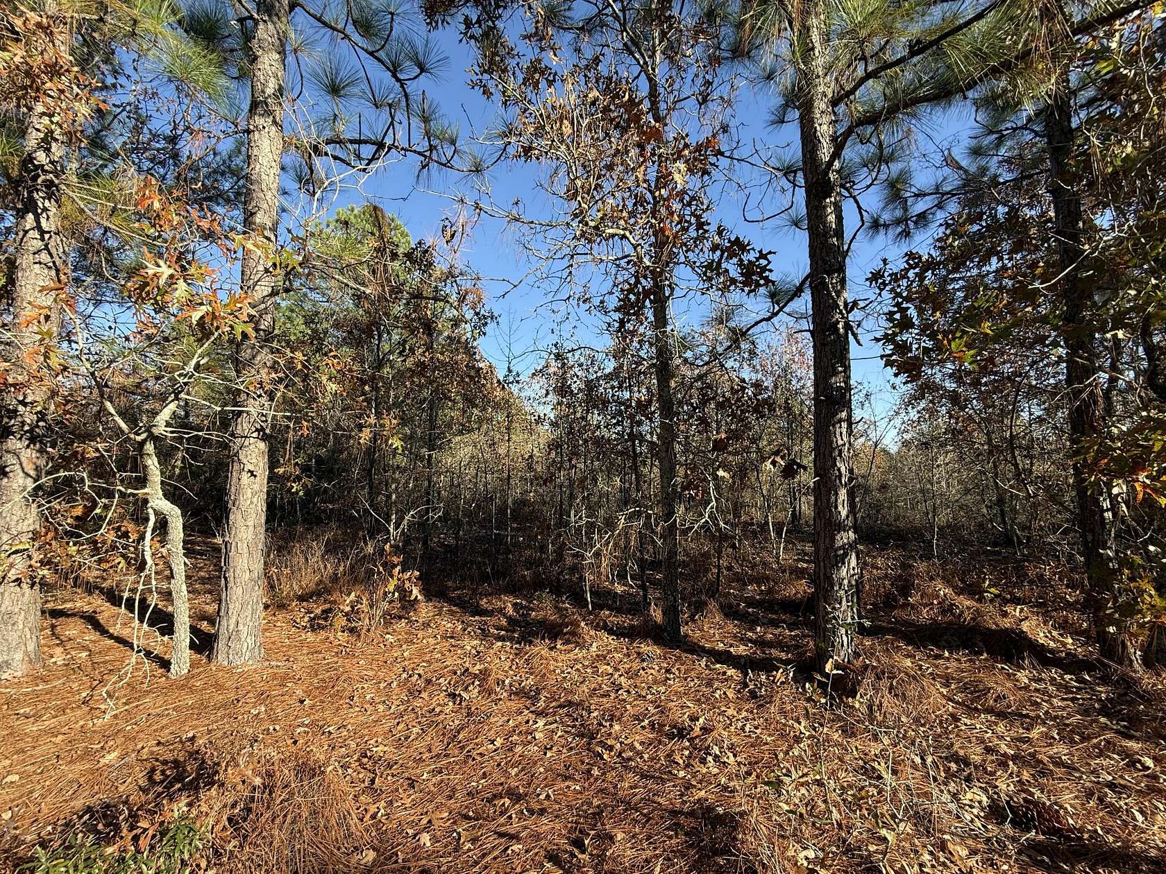 11.2 Acres of Land for Sale in Windsor, South Carolina