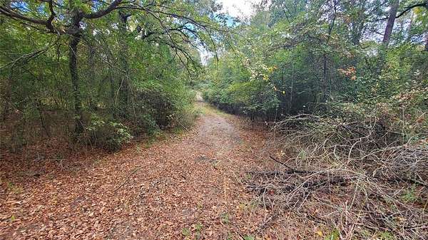 0.37 Acres of Land for Sale in Log Cabin, Texas