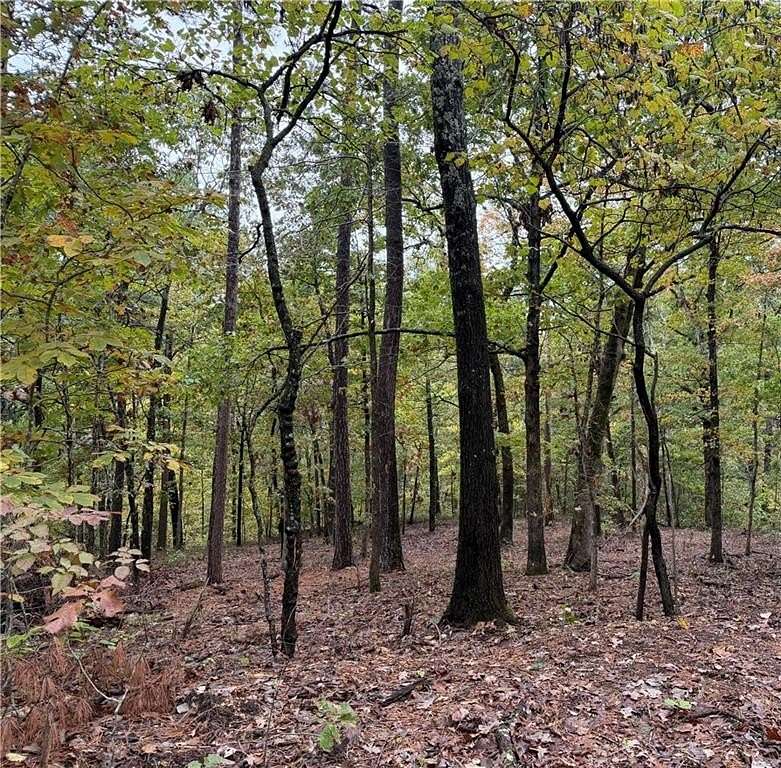 0.35 Acres of Land for Sale in Bella Vista, Arkansas