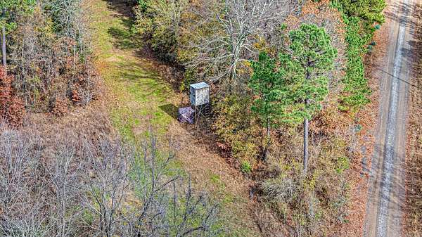 40 Acres of Recreational & Residential Land for Sale in Hattieville, Arkansas