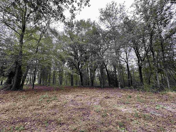 25 Acres of Land for Sale in Pelion, South Carolina