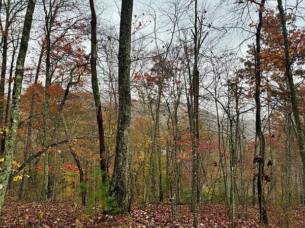 1.7 Acres of Residential Land for Sale in Franklin, North Carolina