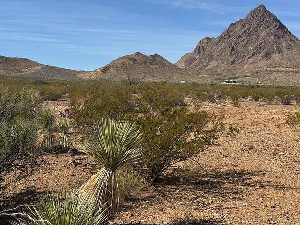 40 Acres of Recreational Land for Sale in Terlingua, Texas