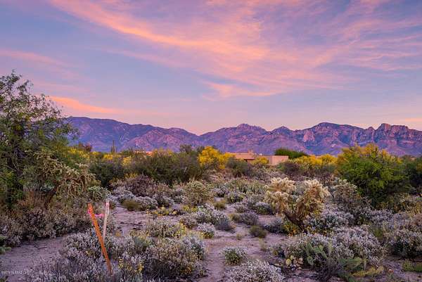 1.79 Acres of Residential Land for Sale in Oro Valley, Arizona