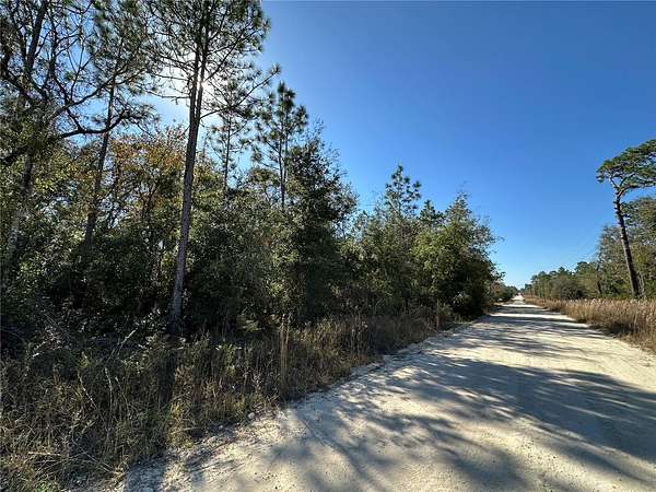 1 Acre of Residential Land for Sale in Williston, Florida