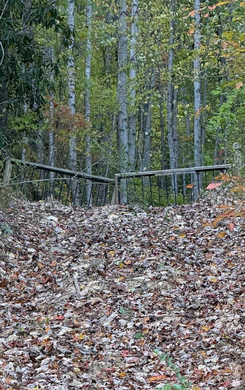 27.5 Acres of Recreational Land for Sale in Robbinsville, North Carolina