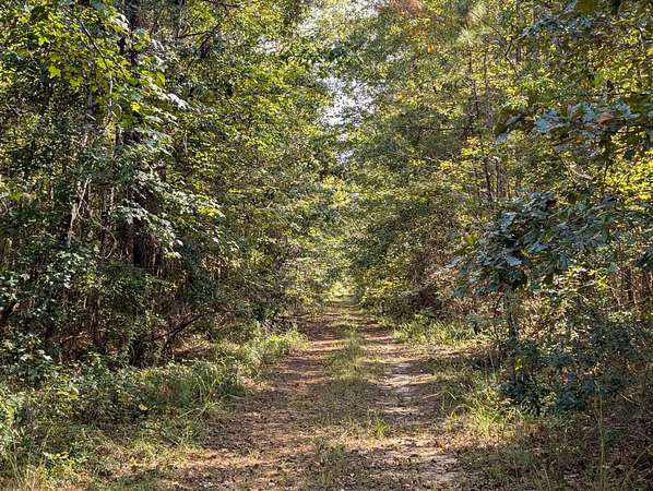 148 Acres of Recreational Land for Sale in Vredenburgh, Alabama