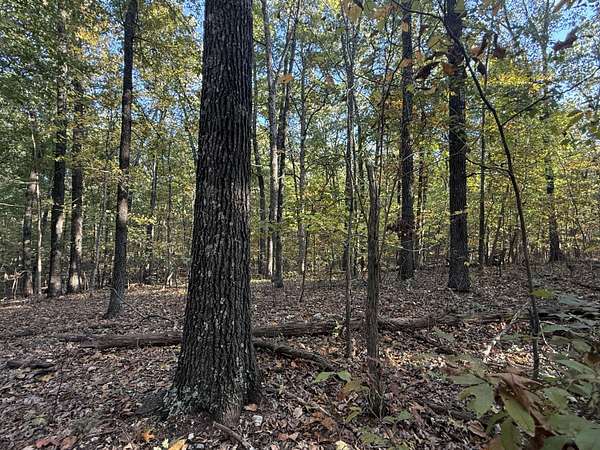 4.8 Acres of Residential Land for Sale in Mountain Grove, Missouri