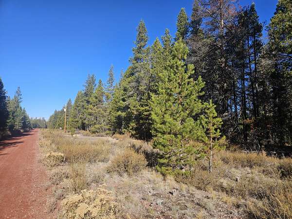 1 Acre of Residential Land for Sale in Chiloquin, Oregon