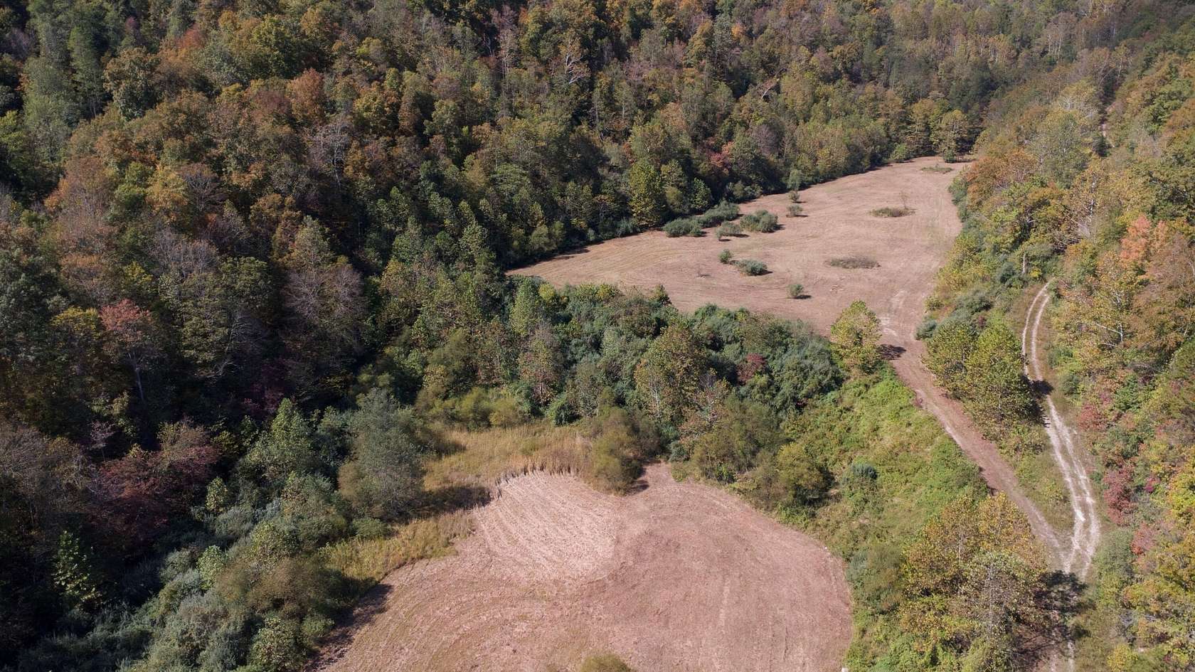 97 Acres of Land for Sale in Inez, Kentucky