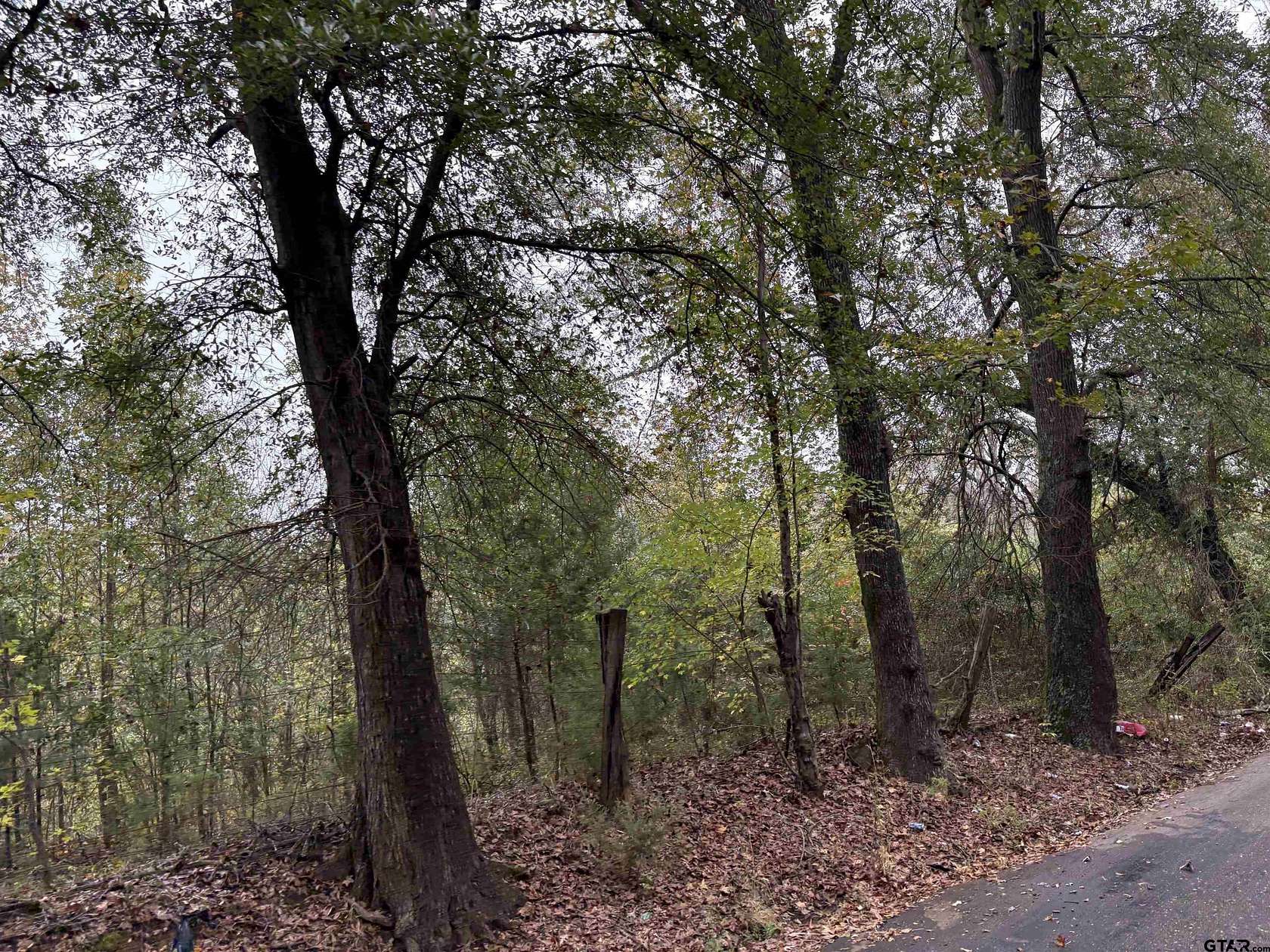 4.75 Acres of Land for Sale in Pittsburg, Texas