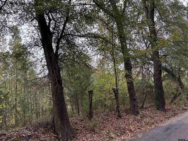 4.75 Acres of Land for Sale in Pittsburg, Texas