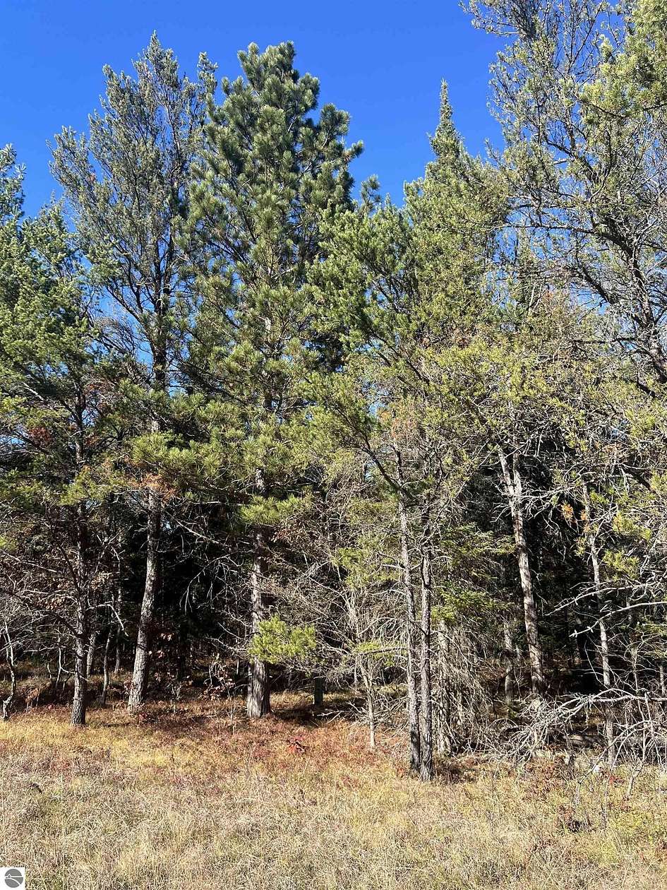 0.21 Acres of Land for Sale in Grayling, Michigan