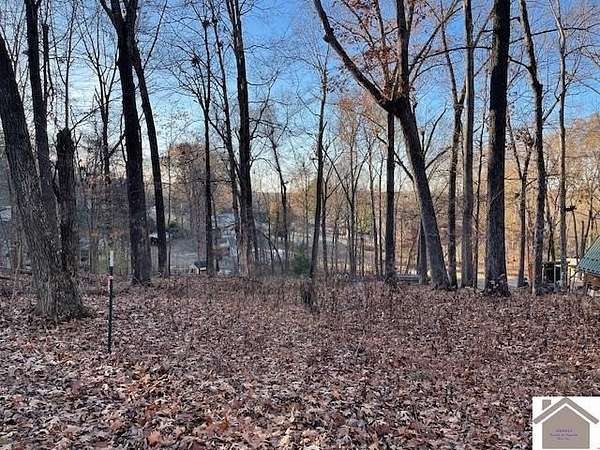 1.33 Acres of Residential Land for Sale in Cadiz, Kentucky