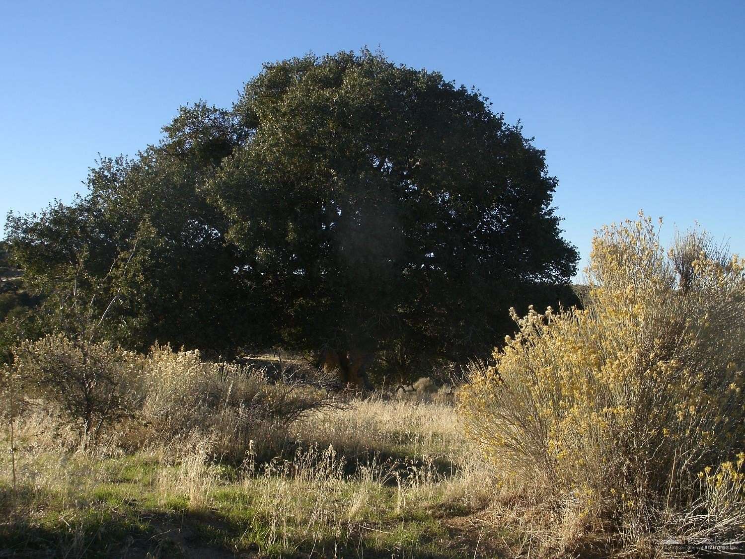 2.76 Acres of Residential Land for Sale in Tehachapi, California