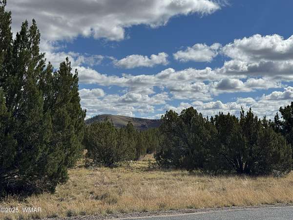 0.46 Acres of Residential Land for Sale in Concho, Arizona