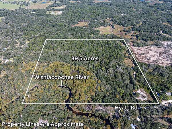 39.5 Acres of Recreational Land for Sale in Dade City, Florida