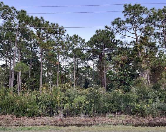 1.15 Acres of Residential Land for Sale in Santa Rosa Beach, Florida