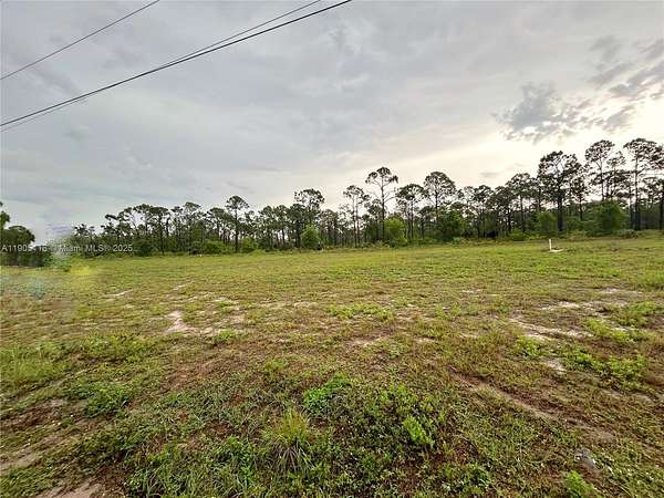 0.28 Acres of Residential Land for Sale in Cape Coral, Florida