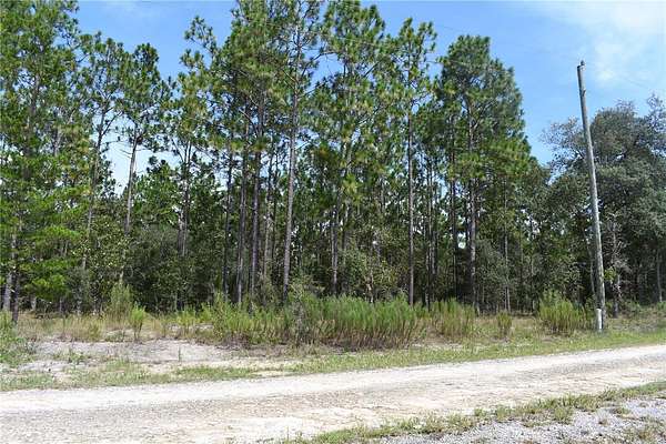 0.25 Acres of Residential Land for Sale in Dunnellon, Florida