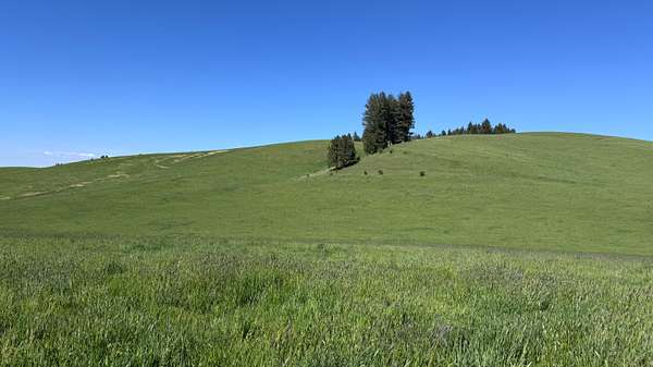 86.8 Acres of Land for Sale in Kamiah, Idaho