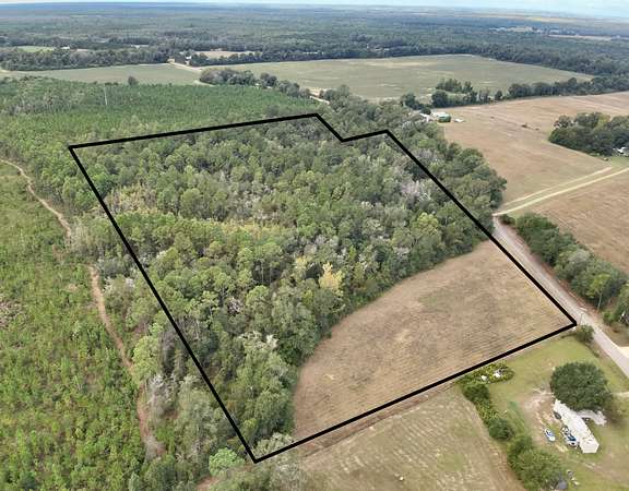 24 Acres of Land for Sale in Cottonwood, Alabama
