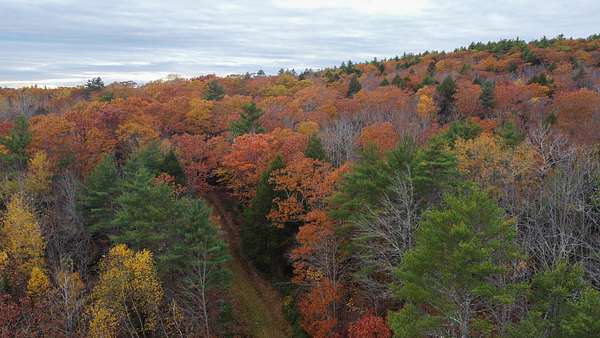 10 Acres of Recreational Land & Farm for Sale in Dresden Mills, Maine