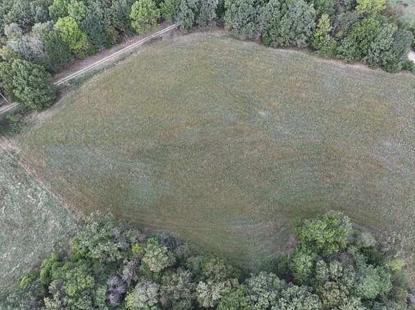 140 Acres of Land for Sale in Caulfield, Missouri