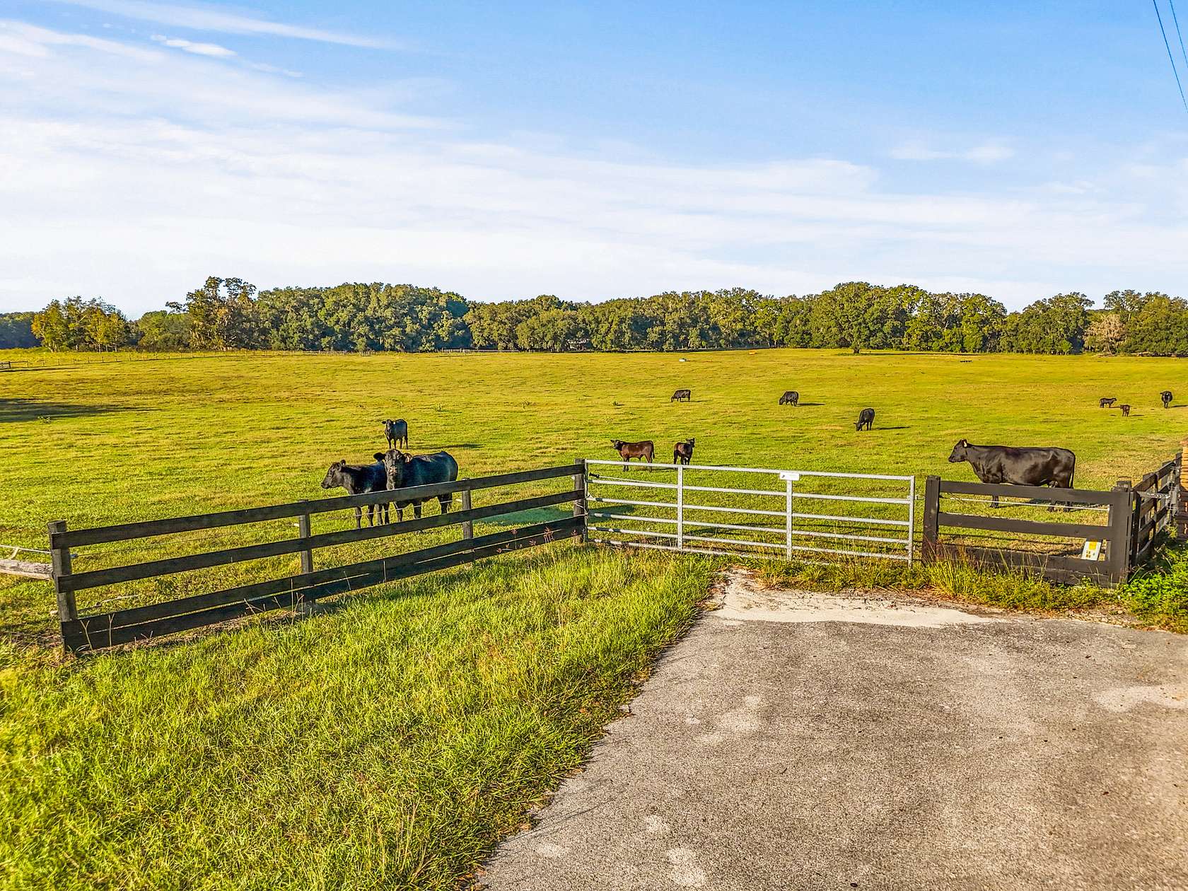 20 Acres of Agricultural Land for Sale in High Springs, Florida