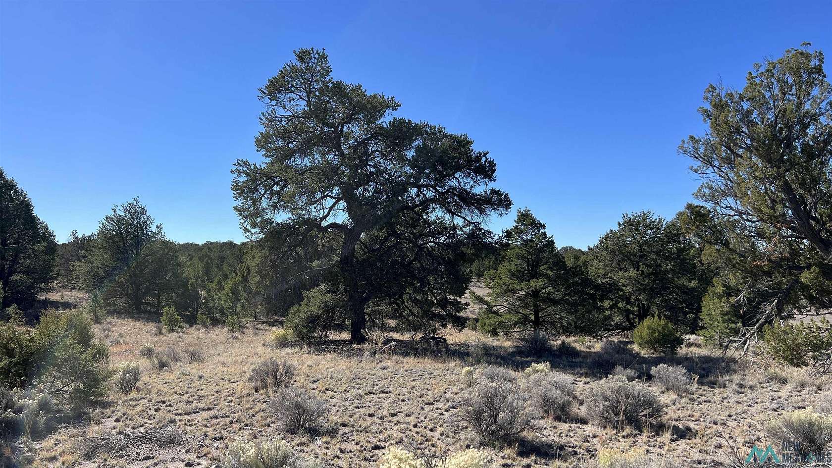 12.5 Acres of Recreational Land for Sale in Pie Town, New Mexico