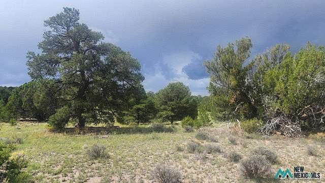 12.5 Acres of Recreational & Residential Land for Sale in Pie Town, New Mexico